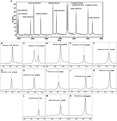 MassARRAY: a high-throughput solution for rapid detection of foodborne pathogens in real-world settings